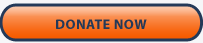 donate_now.gif